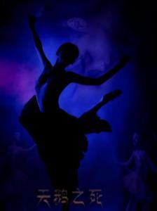 独舞天鹅爆料了吗视频下载,揭秘幕后真相